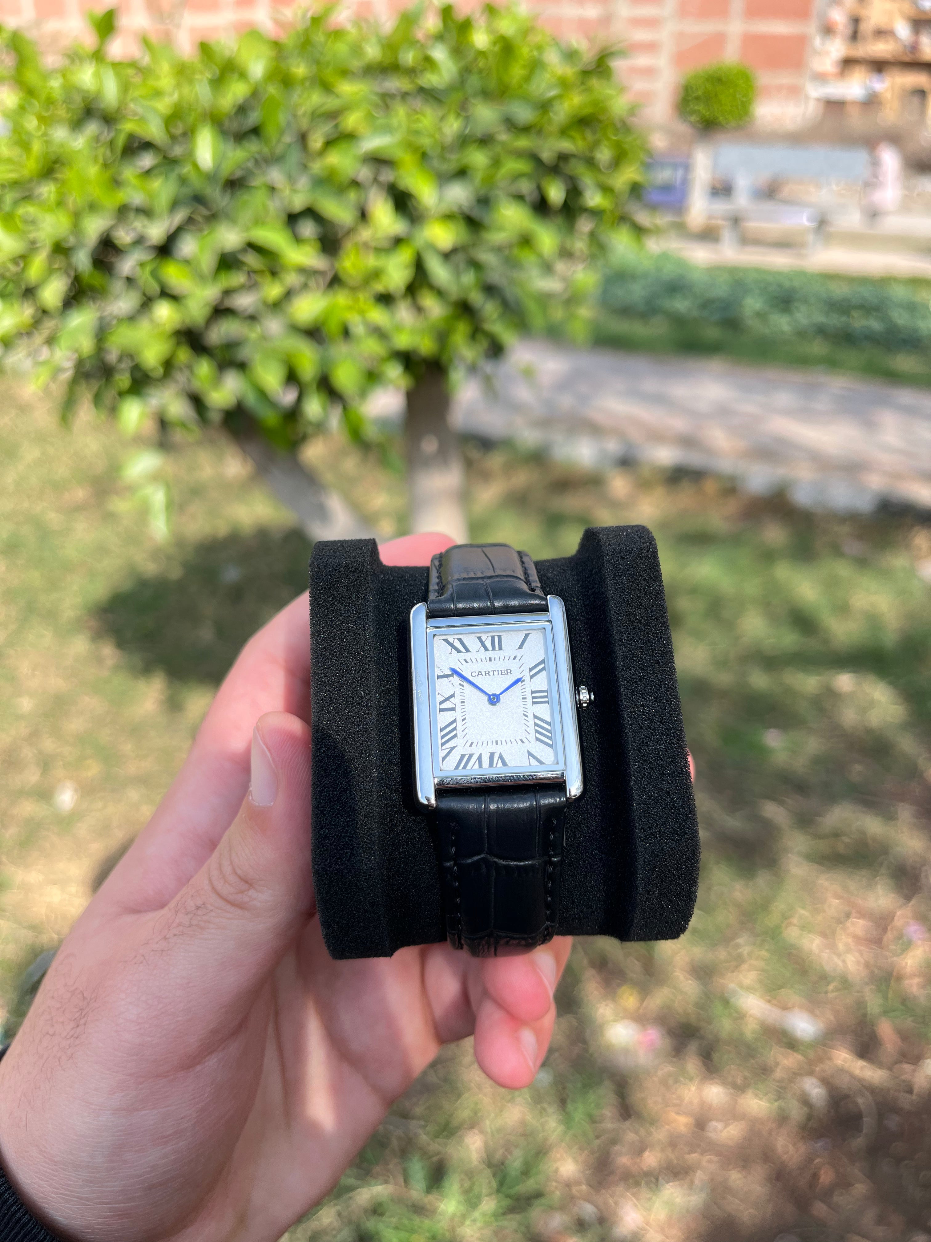 Cartier Tank Leather – OldMoney Edition