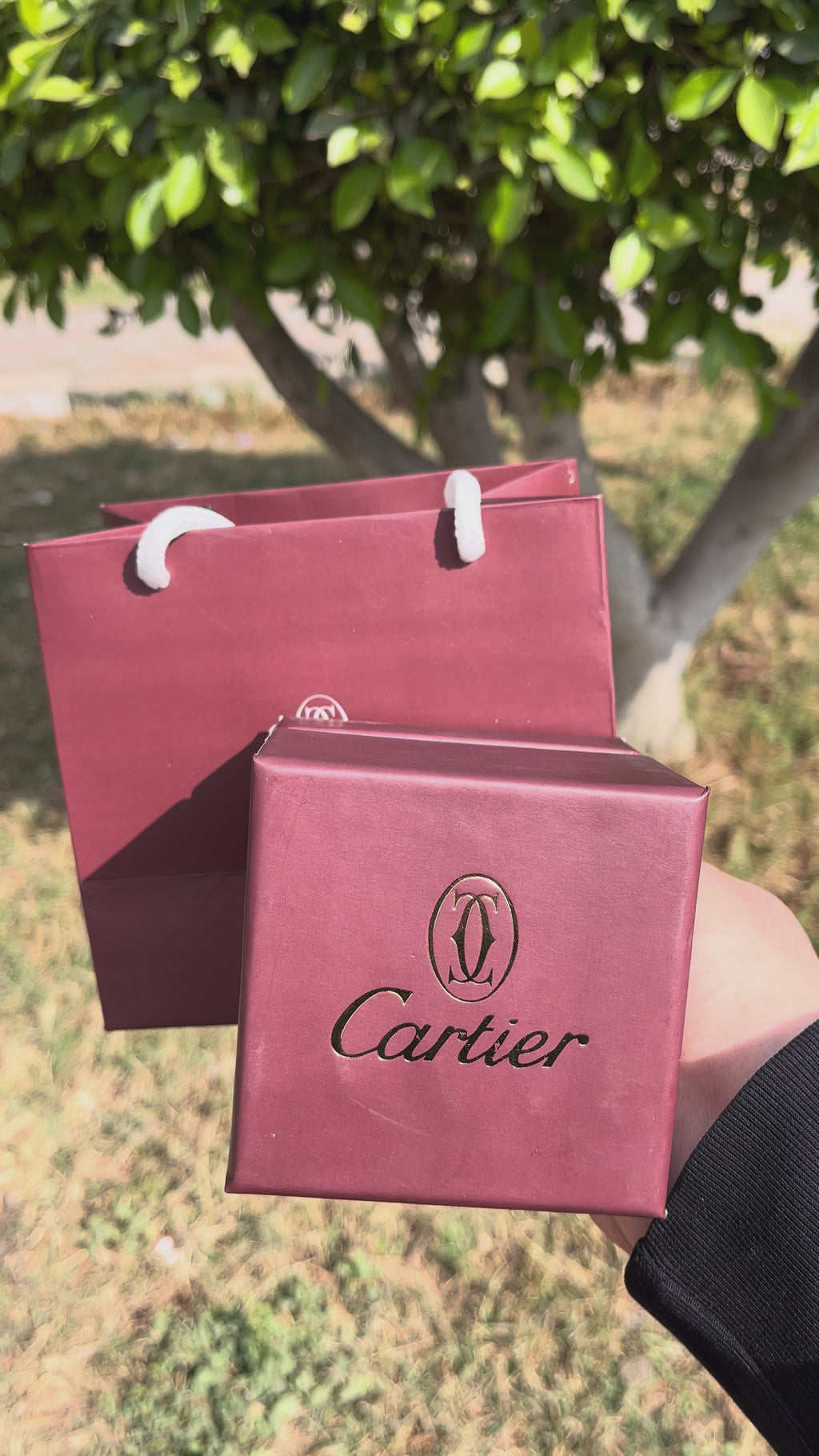 Cartier Santos Leather-OldMoney Edition